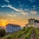 Bergamo and Franciacorta with lunch and cellar visit - Who Should Consider This Tour?