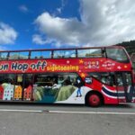 Bergen: 24-Hour Hop-On, Hop-Off Bus Ticket GrayLine - Who Will Get the Most Out of This Tour?