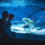 Bergen: Bergen Aquarium Entry Ticket - Why This Tour is Worth Considering