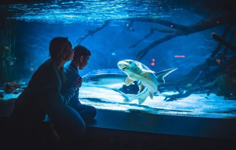Bergen: Bergen Aquarium Entry Ticket - Why This Tour is Worth Considering