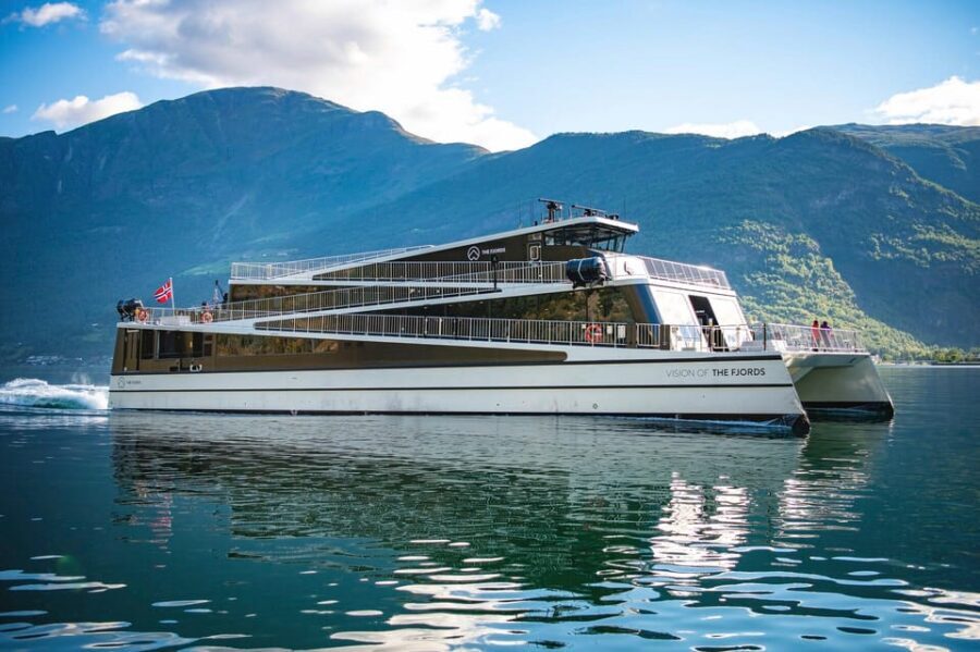 Bergen: Flam Railway, Stegastein View Point and Fjord Cruise - What Makes This Tour Stand Out