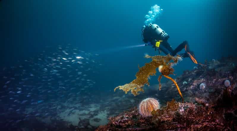 Bergen: Guided Scuba Diving - An Honest Review: Pros and Cons