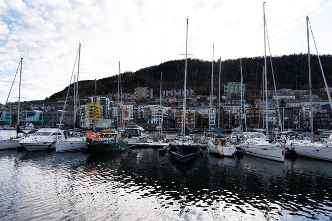 Bergen: Guided Tour by Minibus with Local Guide & Photostops - The Practical Side: Transportation, Timing, and Group Size