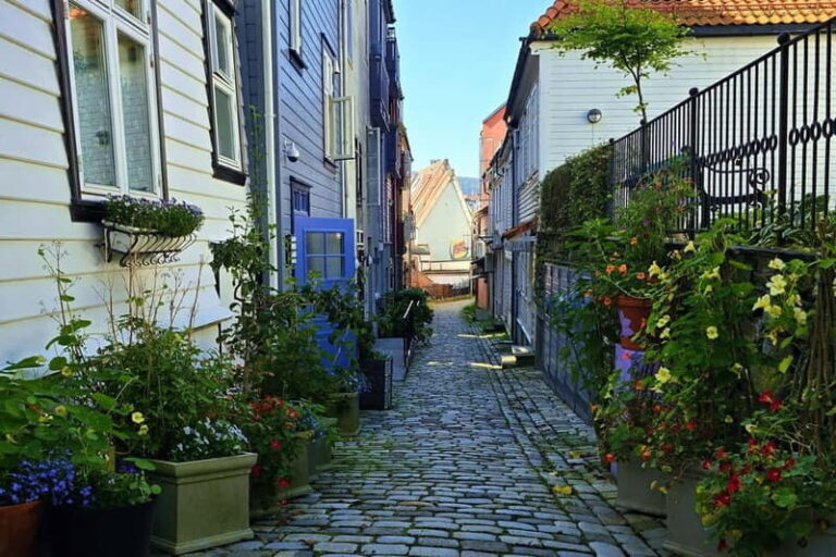 Bergen Like a Local: Culture, Views, and the Stave Church - Who Should Consider This Tour?