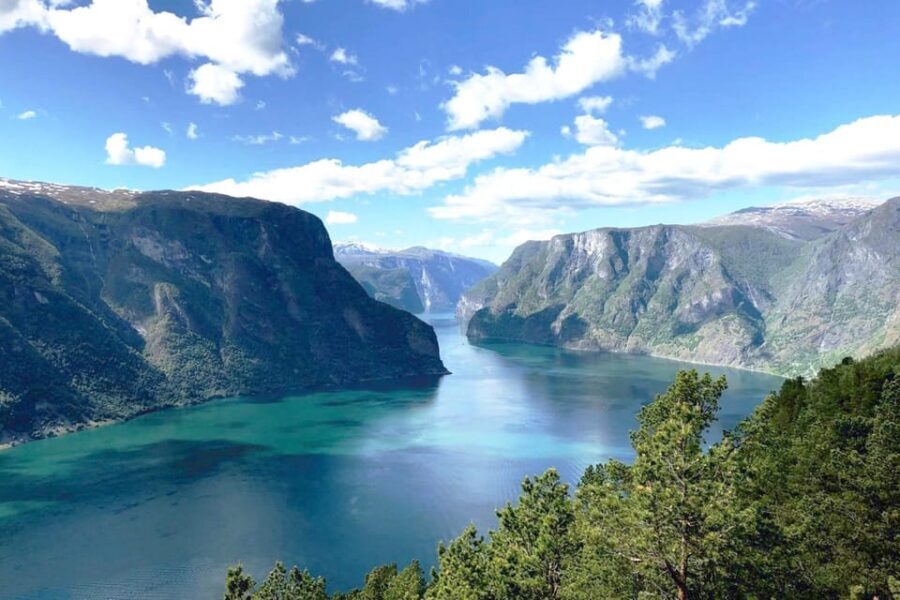 Bergen: Nærøyfjord Cruise & Flåm Railway Day Trip to Oslo - Who Should Consider This Tour