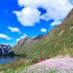 Bergen: Nærøyfjorden, Flåm, and Stegastein Guided Bus Tour - What Makes This Tour Stand Out