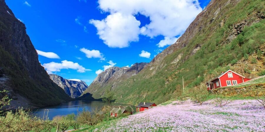 Bergen: Nærøyfjorden, Flåm, and Stegastein Guided Bus Tour - What Makes This Tour Stand Out
