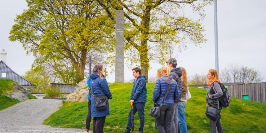 Bergen: Nordnes Neighborhood Hidden Gems Walking Tour - Who Will Enjoy This Tour?