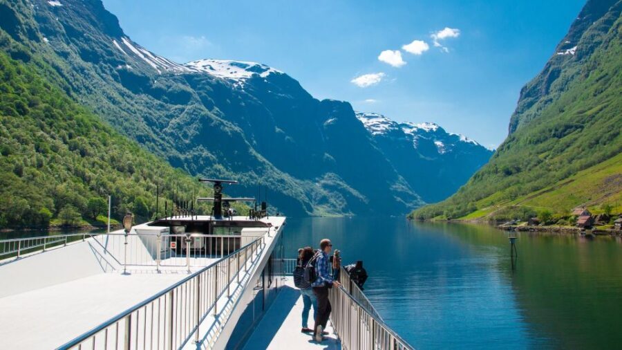 Bergen: Private Day Tour, Nærøyfjord Cruise and Flåm Railway - Who This Tour Suits Best