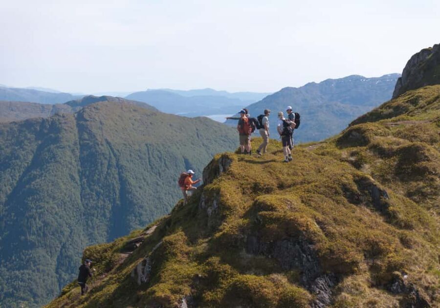 Bergen: Private Guided Fjord Hike - Why This Tour Offers Great Value