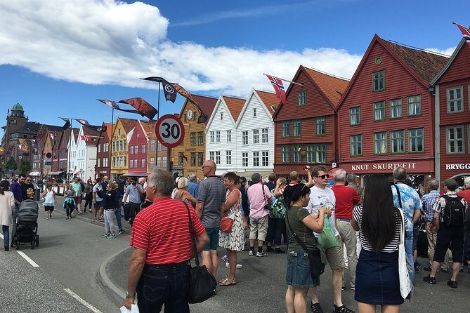 Bergen Private Walking Tour With A Professional Guide - Who Will Love This Tour?