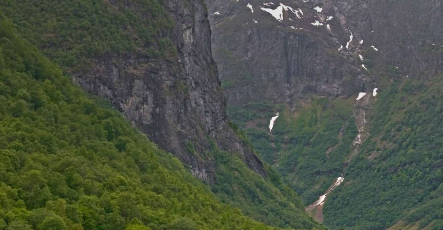 Bergen: Self-Guided Trip to Oslo with Sognefjord cruise (5h) - The Sum Up