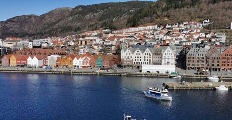 Bergen: Sightseeing Cruise of Bergen's Historic Landmarks - Who Will Love This Experience?
