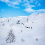 Bergen: Snowshoe Hike - The Journey Up and the Views From the Top