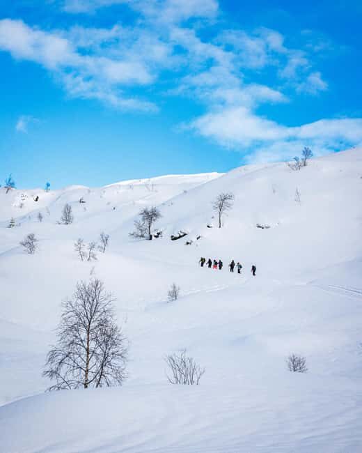 Bergen: Snowshoe Hike - The Journey Up and the Views From the Top