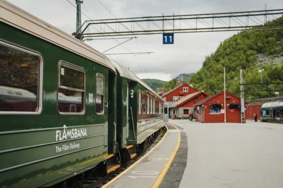 Bergen: Viking Village, Nærøyfjorden Cruise and Flåm Railway - Exploring the Viking Village in Njardarheimr