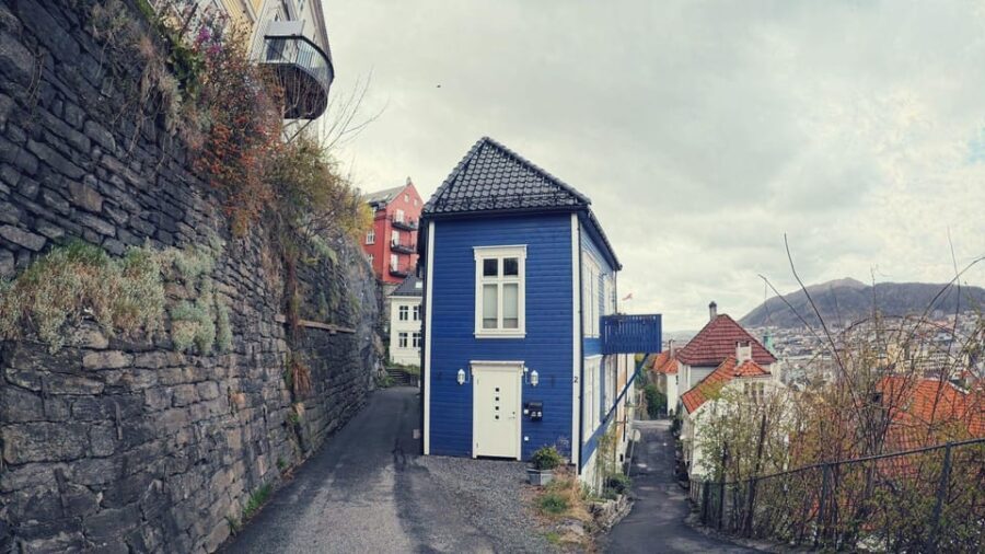 Bergen's Twilight Magic: An Evening Adventure - Who Is This Tour Best For?