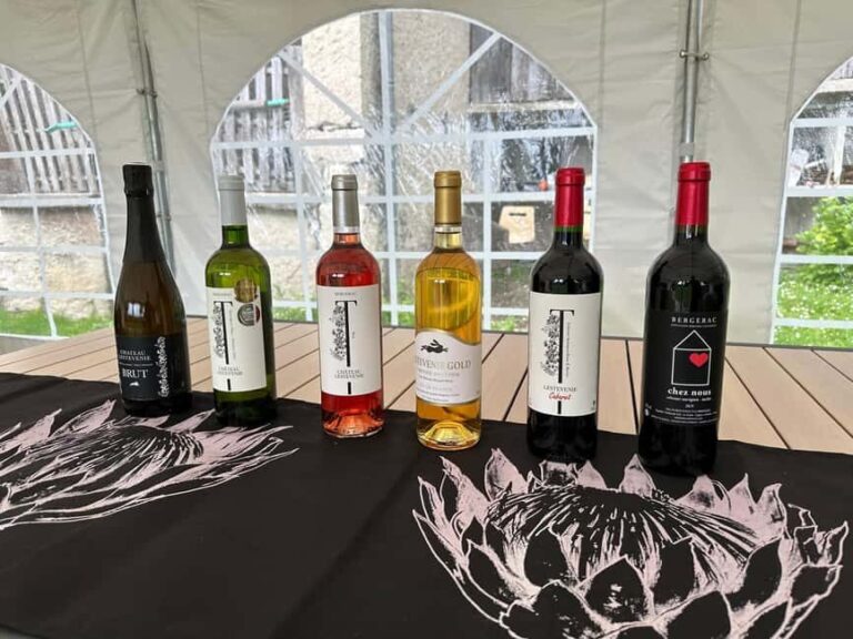 Bergerac: Wine Tasting at Chateau Lestevenie - Why Choose This Experience?