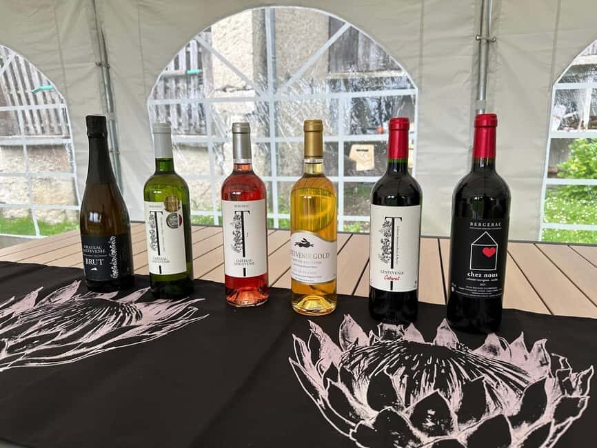 Bergerac: Wine Tasting at Chateau Lestevenie - Why Choose This Experience?