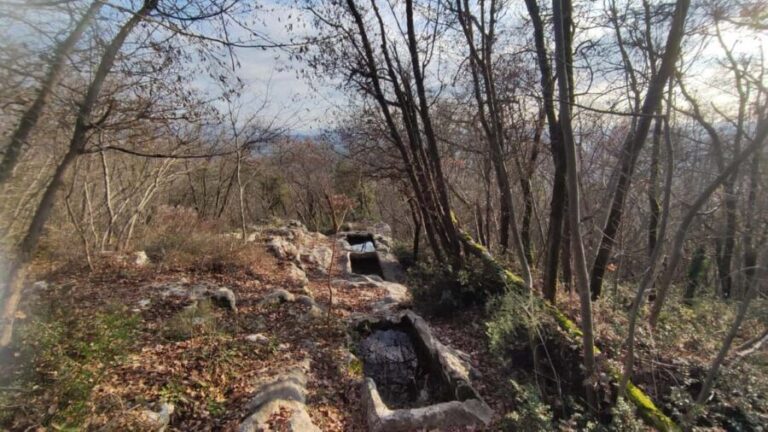 Berici Hills: Guided Hike to Alonte 21/09 only! - Why This Tour Offers Value