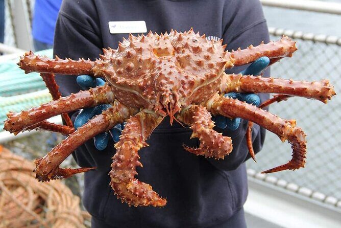 Bering Sea Crab Fisherman's Tour from Ketchikan - Who Should Book This Tour?