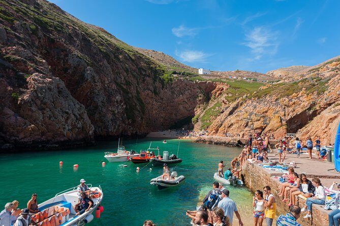 Berlenga Island Full Day Tour from Lisbon - Authentic Perspectives: What Travelers Say