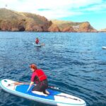 Berlengas Island Catamaran Tour + SUP - Who Should Consider This Tour?
