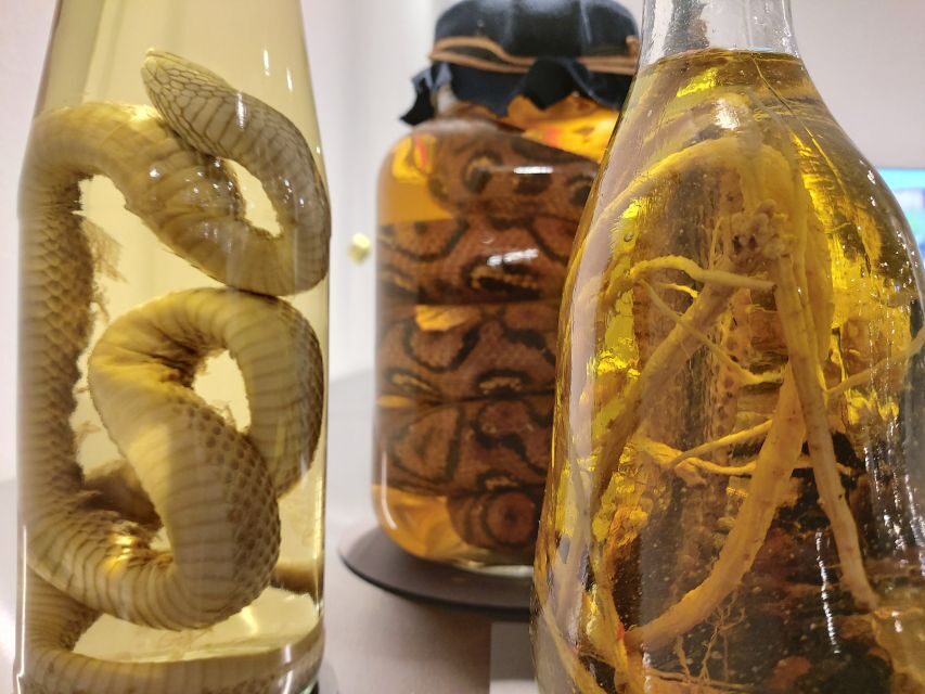 Berlin: Disgusting Food Museum Entry Ticket and Tasting - Who Should Visit?