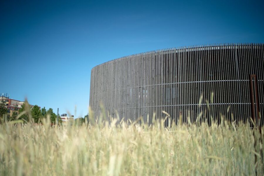 Berlin Insider's Cold War Walking Tour - FAQs