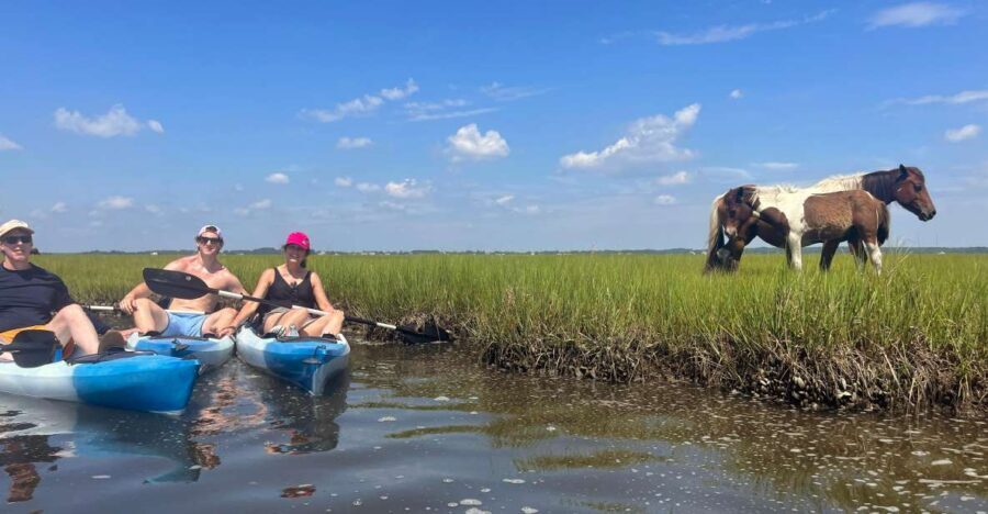 Berlin, MD: Full-, Half, or Quarter-Day Kayak Rental - What to Expect on Your Paddling Journey