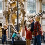 Berlin: Natural History Museum Entrance Ticket - Who Will Love This Museum?