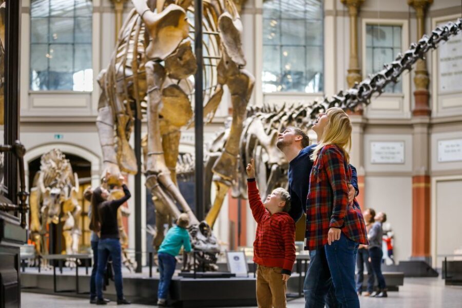 Berlin: Natural History Museum Entrance Ticket - Who Will Love This Museum?