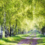Berlin: Photo course Landschafts- & Naturfotografie - Why This Tour Offers Good Value