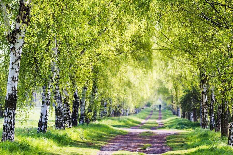 Berlin: Photo course Landschafts- & Naturfotografie - Why This Tour Offers Good Value