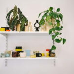 Berlin: Pottery Class at Peace Out Paradise Ceramics Studio - The Overall Value for Travelers