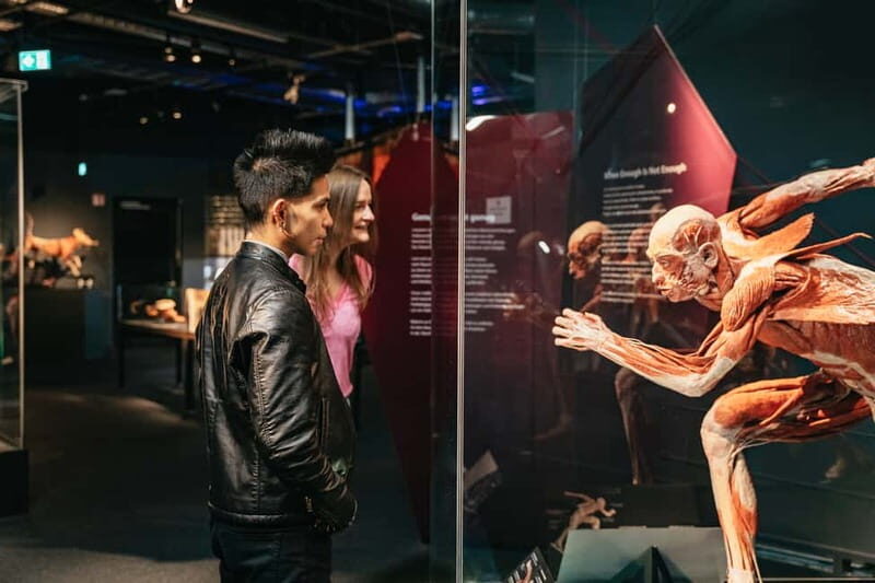Berlin: Tickets for the BODY WORLDS Museum in Berlin - Is It Worth the Price?