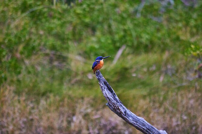 Bermagui River Kayak Tour - The Sum Up