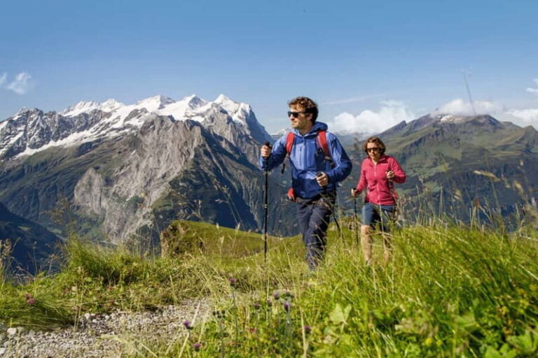 Berner Oberland: Swiss Half Fare & STS Holder 2nd Class Pass - A Closer Look at the Bernese Oberland Pass Experience