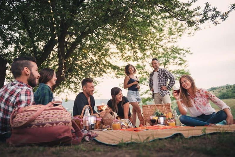 Bernkastel-Kues, Moselle: Bicycle picnic boat tour with wine tasting - Practical Details and Value
