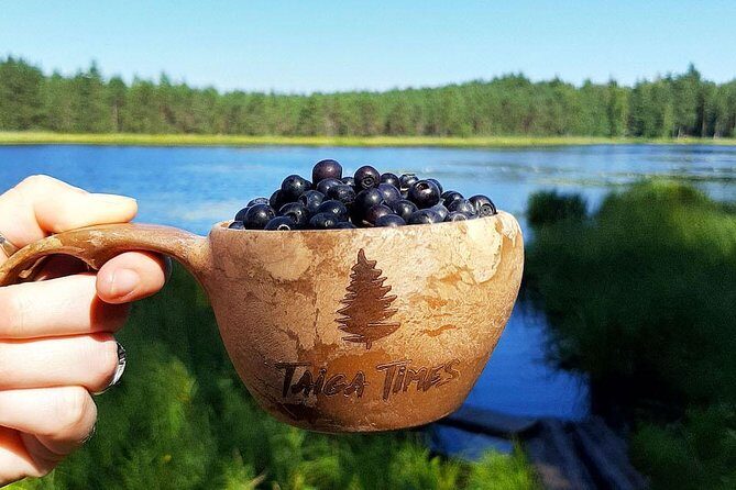 Berry Picking in a National Park - Who Will Love This Tour?