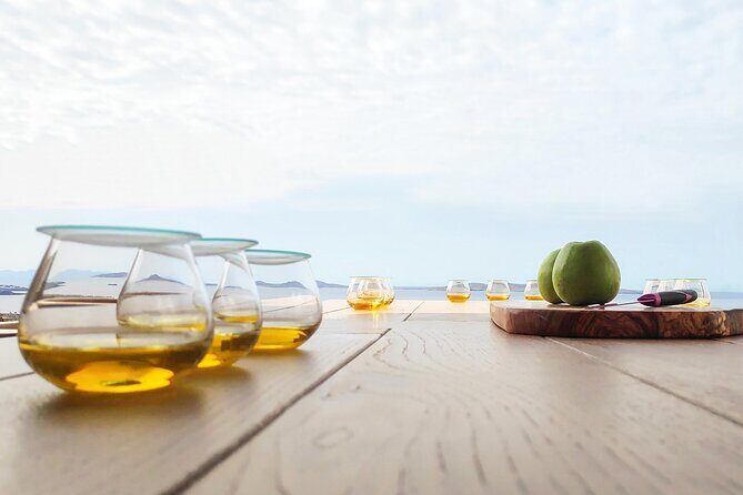 Best Mykonos Olive Oil Tasting - Learn from a world-famous Expert - Who Should Consider This Tour?