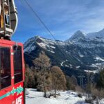 Best of Bernese Oberland & Swiss Countryside Tour - What’s Included and What’s Not