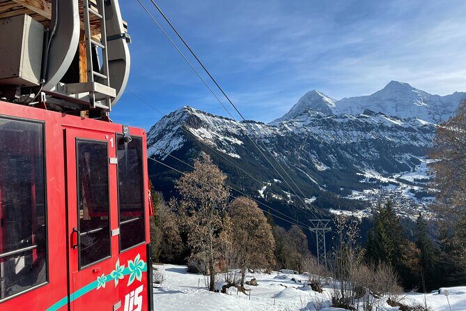 Best of Bernese Oberland & Swiss Countryside Tour - What’s Included and What’s Not