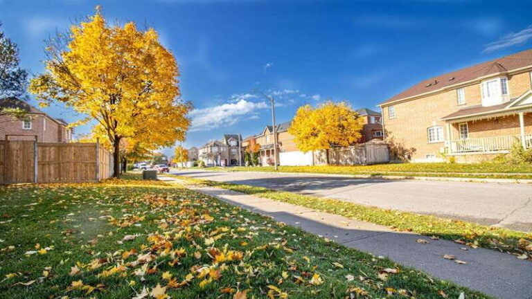 Best of Brampton: Private Walking Tour with a Local - What the Tour Includes and Excludes