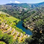 Best of Douro Valley Wine Full Day Private Tour - A Detailed Look at the Douro Valley Private Tour
