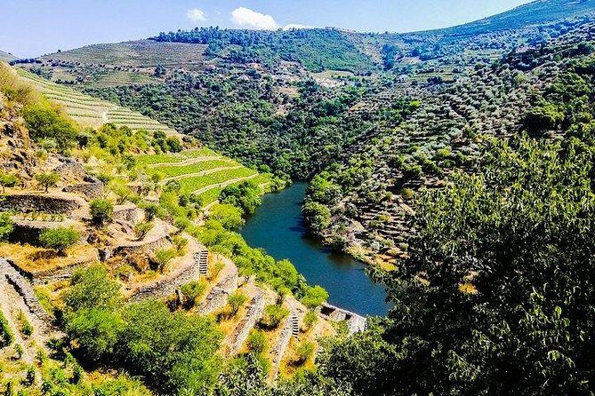 Best of Douro Valley Wine Full Day Private Tour - A Detailed Look at the Douro Valley Private Tour