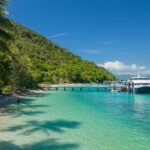 Best of Fitzroy Island Day Tour - Final Thoughts: Is This Tour Right for You?