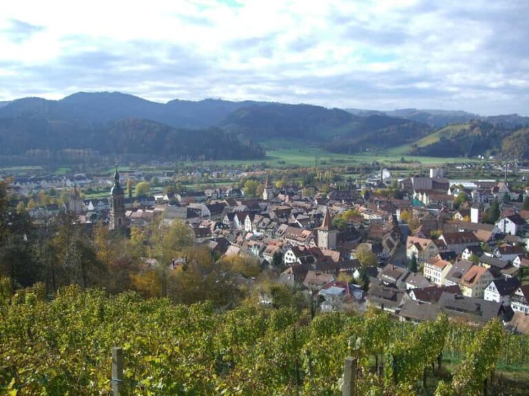 Best of Gengenbach Walk Tour with a Professional Guide - What’s Included and What to Consider