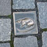 Best of Hamelin Walk Tour with a Professional Guide - Who Should Consider This Tour?