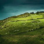 Best of Ireland 6-Day Backpackers Economy Tour - What Makes This Tour Stand Out